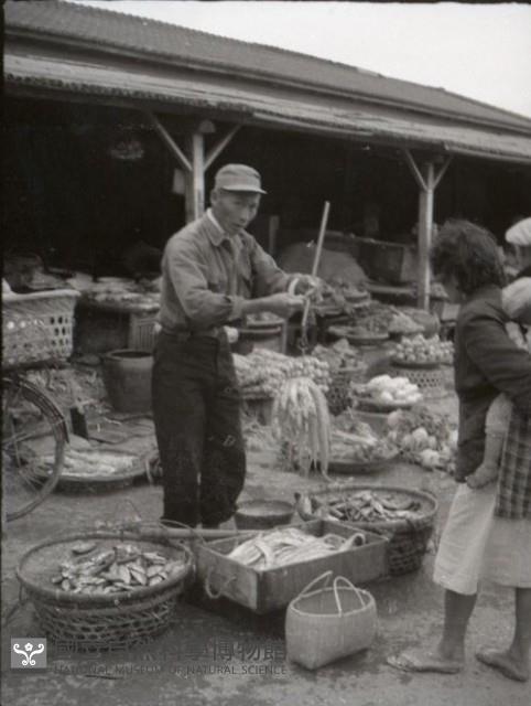 1950至2006年臺灣常民生活藏品圖，第1張