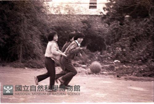 1950至2006年臺灣常民生活藏品圖，第1張