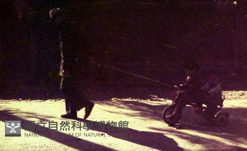 1950至2006年臺灣常民生活藏品圖，第1張