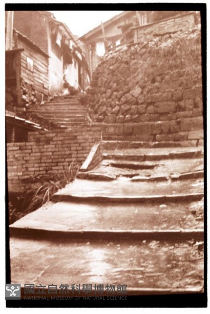 1950至2006年臺灣常民生活藏品圖，第1張
