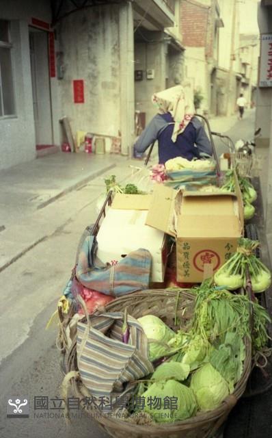 1950至2006年臺灣常民生活藏品圖，第1張