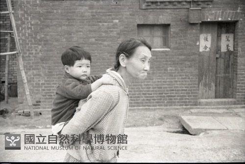 1950至2006年臺灣常民生活藏品圖，第1張