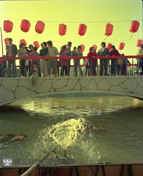 1950至2006年臺灣常民生活藏品圖，第1張