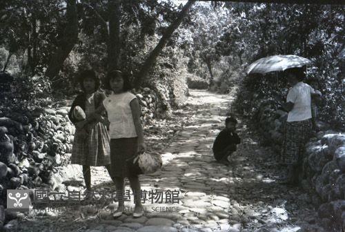 1950至2006年台灣常民生活藏品圖，第1張