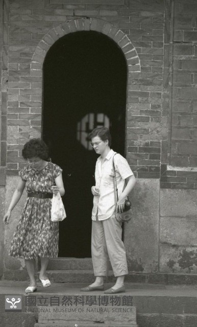 1950至2006年臺灣常民生活藏品圖，第1張