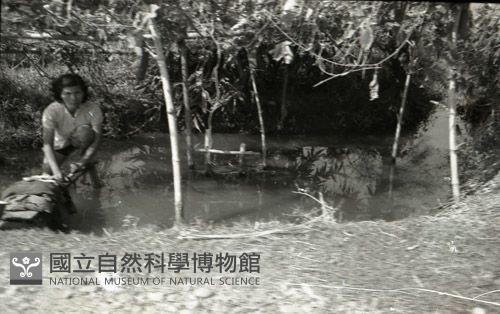 1950至2006年臺灣常民生活 藏品圖，第1張