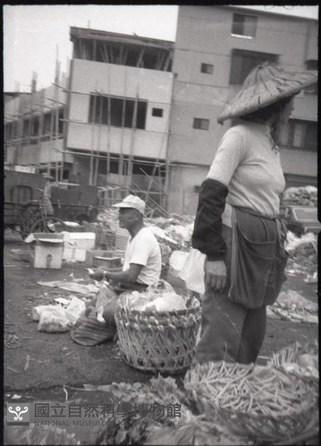 1950至2006年臺灣常民生活藏品圖，第1張