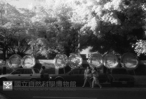 1950至2006年臺灣常民生活藏品圖，第1張