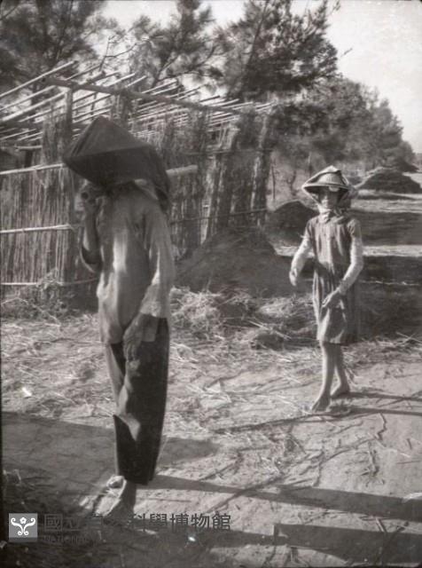 1950至2006年臺灣常民生活藏品圖，第1張