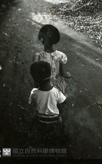 1950至2006年臺灣常民生活藏品圖，第1張