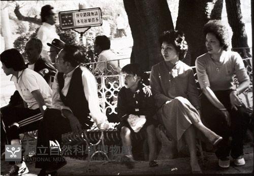 1950至2006年臺灣常民生活藏品圖，第1張