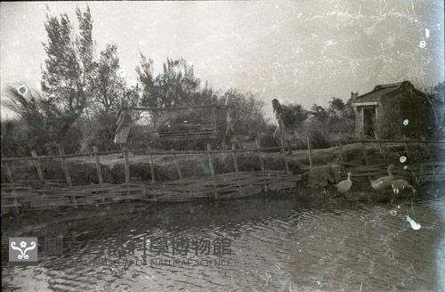 1950至2006年臺灣常民生活藏品圖，第1張