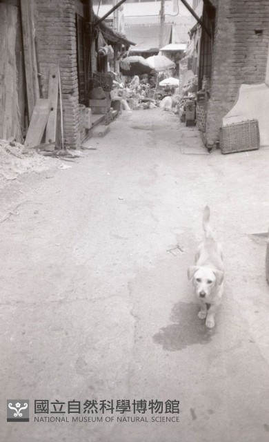 1950至2006年臺灣常民生活藏品圖，第1張