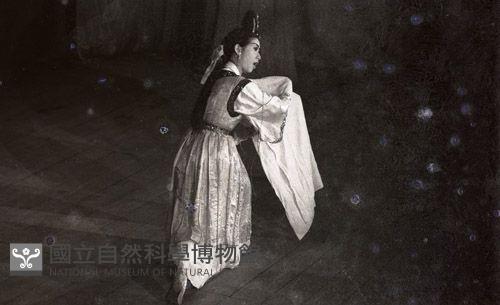 1950至2006年臺灣常民生活 藏品圖，第1張