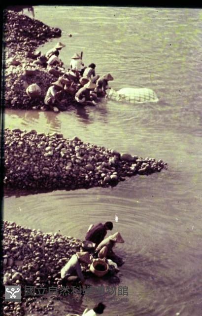 1950至2006年臺灣常民生活藏品圖，第1張