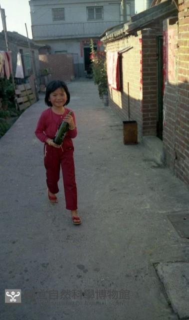 1950至2006年臺灣常民生活藏品圖，第1張