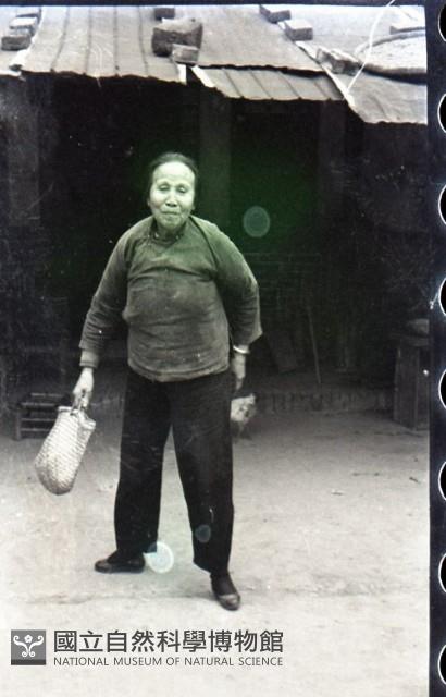 1950至2006年臺灣常民生活藏品圖，第1張