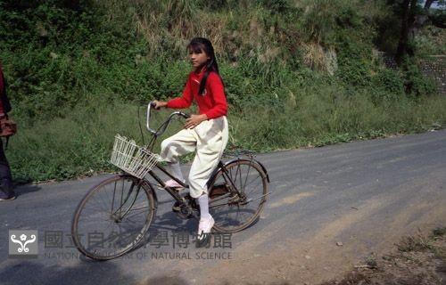 1950至2006年臺灣常民生活藏品圖，第1張