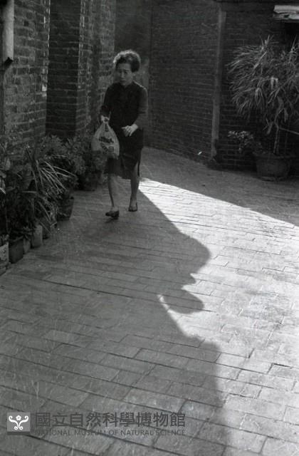 1950至2006年臺灣常民生活藏品圖，第1張