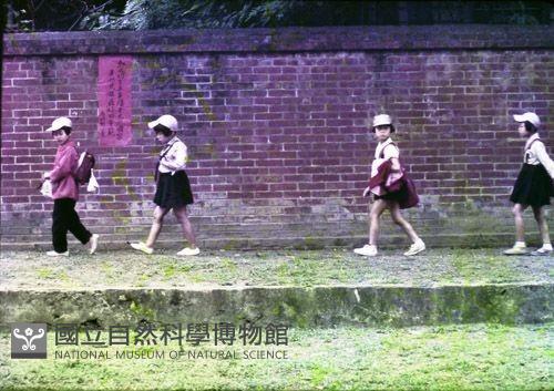 1950至2006年臺灣常民生活藏品圖，第1張