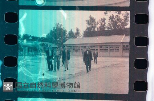 1950至2006年臺灣常民生活藏品圖，第1張