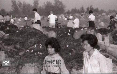 1950至2006年臺灣常民生活藏品圖，第1張