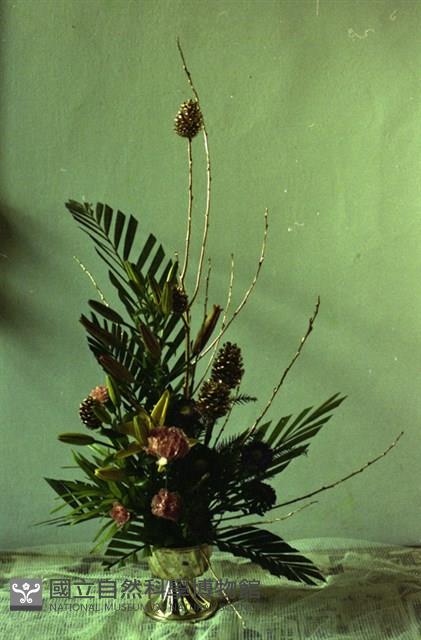 1950至2006年臺灣常民生活藏品圖，第1張