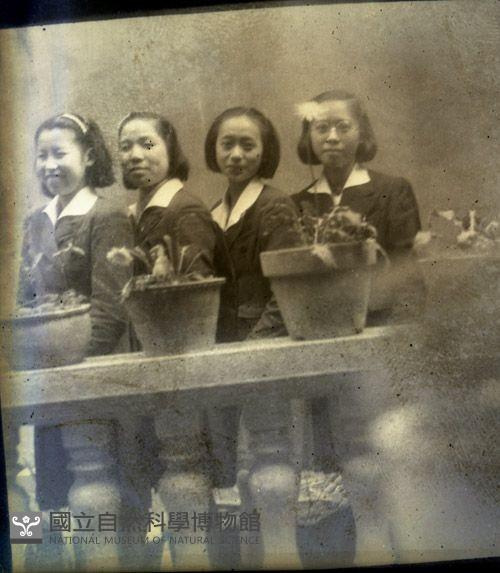 1950至2006年臺灣常民生活藏品圖，第1張