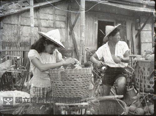 1950至2006年臺灣常民生活藏品圖，第1張