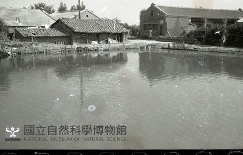 1950至2006年臺灣常民生活藏品圖，第1張