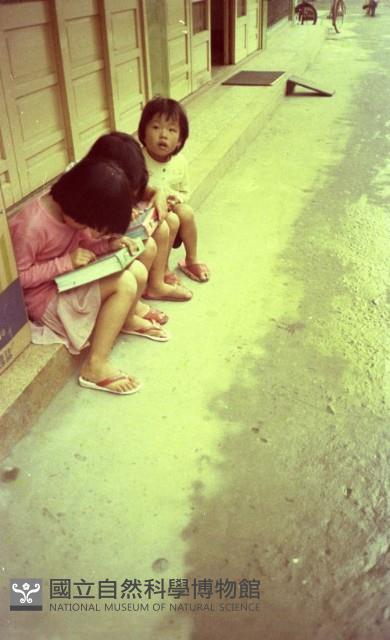 1950至2006年臺灣常民生活藏品圖，第1張