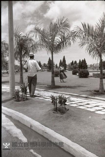 1950至2006年臺灣常民生活藏品圖，第1張