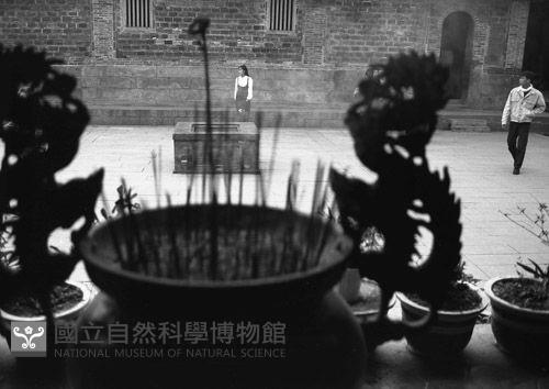 1950至2006年臺灣常民生活藏品圖，第1張