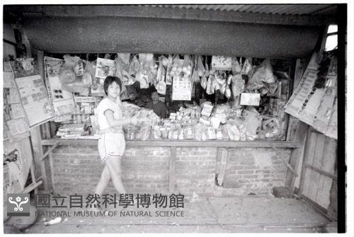 1950至2006年臺灣常民生活藏品圖，第1張