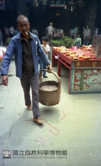 1950至2006年臺灣常民生活藏品圖，第1張