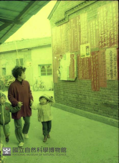 Accession Number:MP2007012353 Collection Image