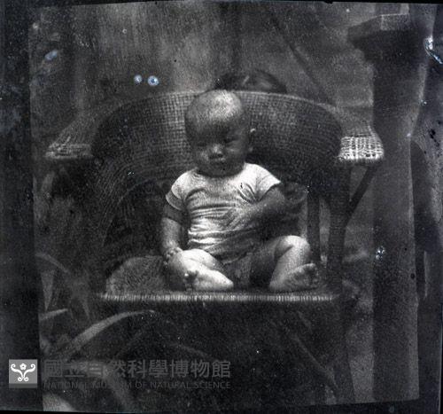 1950至2006年臺灣常民生活藏品圖，第1張