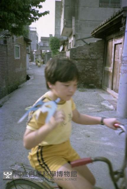 1950至2006年臺灣常民生活藏品圖，第1張