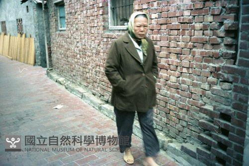 1950至2006年臺灣常民生活藏品圖，第1張