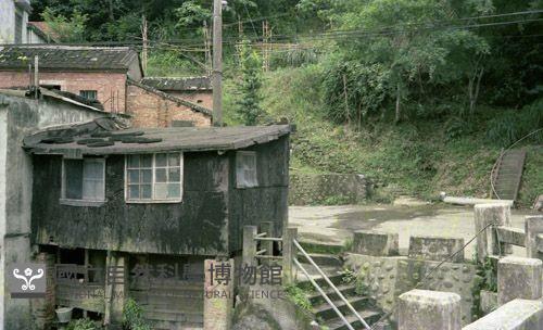 1950至2006年臺灣常民生活藏品圖，第1張