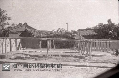 1950至2006年臺灣常民生活藏品圖，第1張