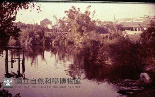 1950至2006年臺灣常民生活藏品圖，第1張