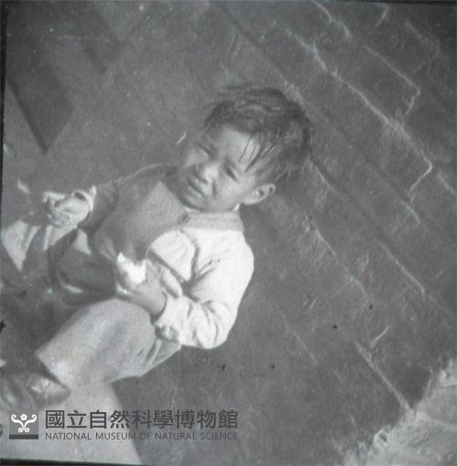 1950至2006年臺灣常民生活藏品圖，第1張