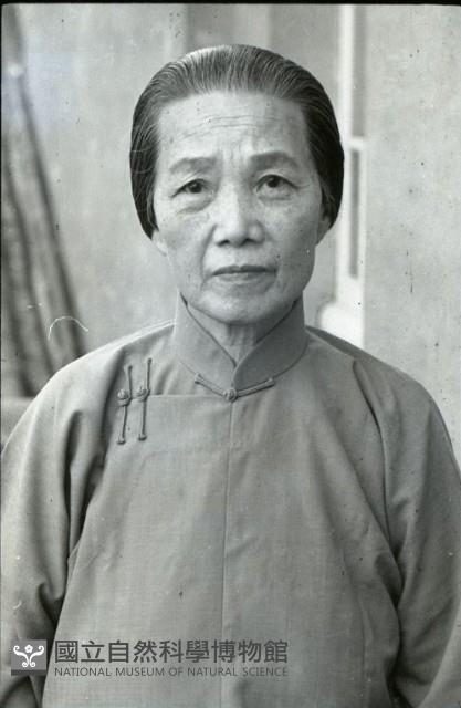 1950至2006年臺灣常民生活藏品圖，第1張