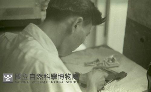 1950至2006年臺灣常民生活藏品圖，第1張