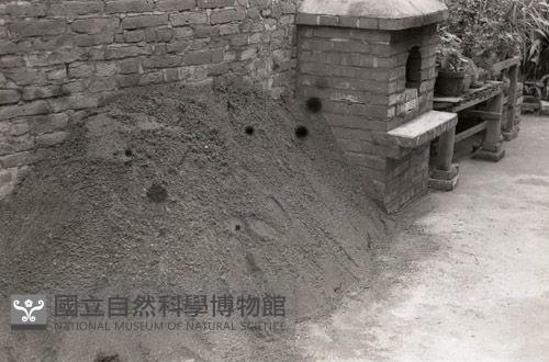 1950至2006年台灣常民生活藏品圖，第1張