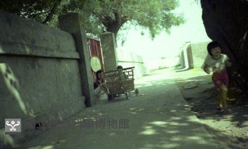 1950至2006年臺灣常民生活藏品圖，第1張