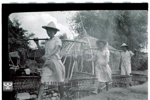 1950至2006年臺灣常民生活藏品圖，第1張