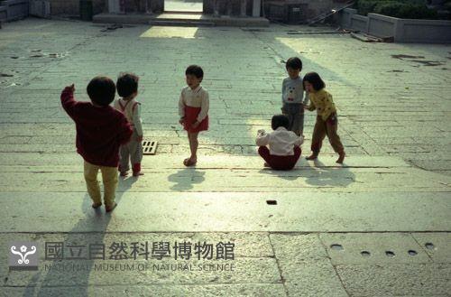 1950至2006年臺灣常民生活藏品圖，第1張