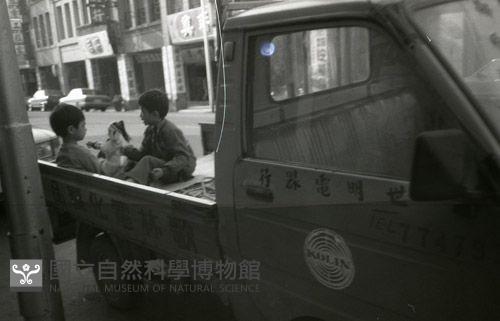 1950至2006年臺灣常民生活藏品圖，第1張